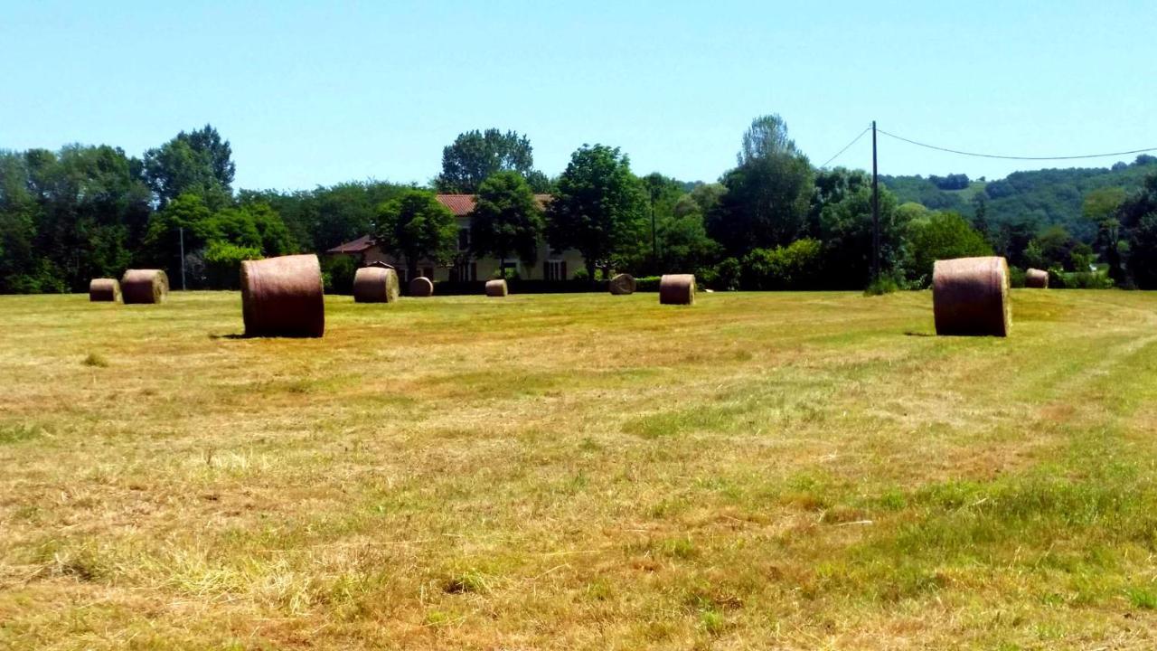 B&B Aux Petits Lardons Trie-sur-Baise Kültér fotó